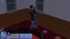 The Sims 2 Те Симс 2 — скриншот 3